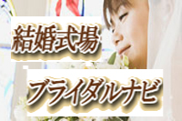 �u���C�_���i�r